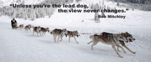 Unless your the lead dog